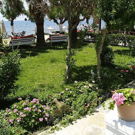 אורטקנט Yilmaz Hotel מראה חיצוני תמונה