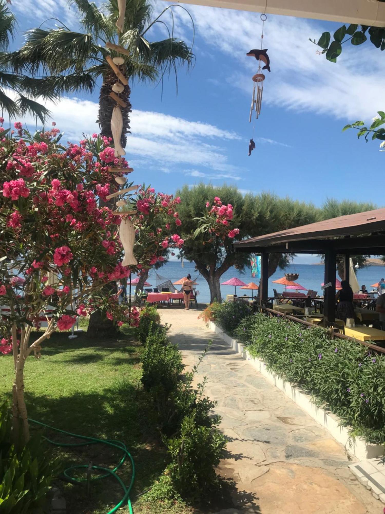 אורטקנט Yilmaz Hotel מראה חיצוני תמונה