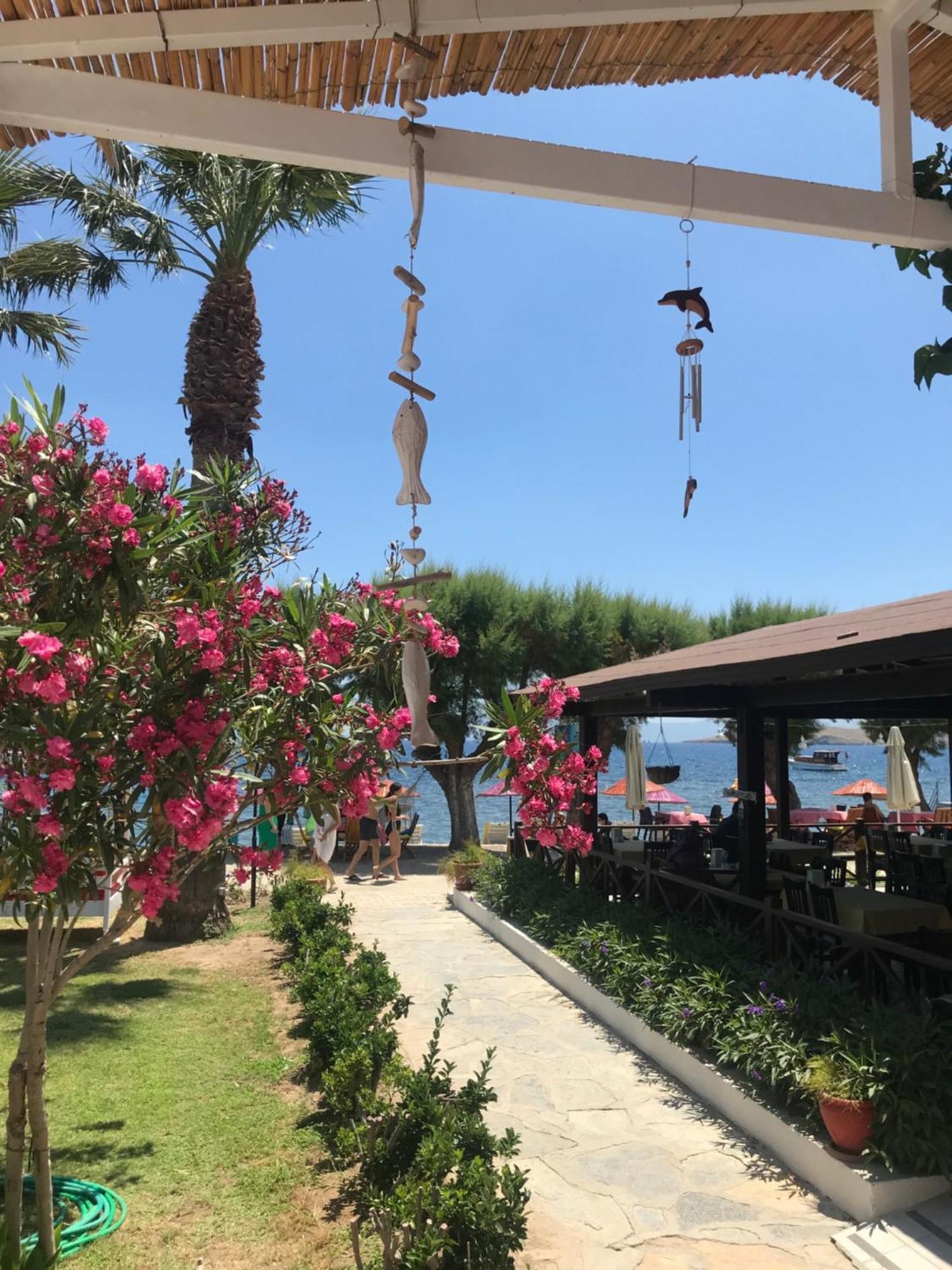 אורטקנט Yilmaz Hotel מראה חיצוני תמונה