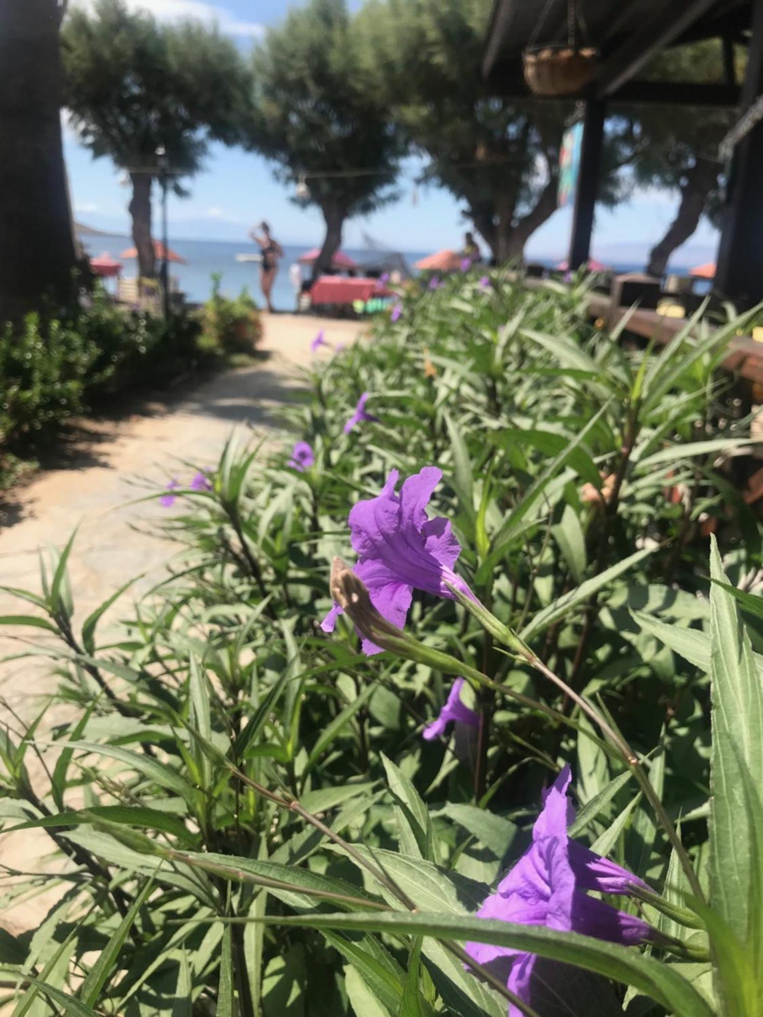 אורטקנט Yilmaz Hotel מראה חיצוני תמונה